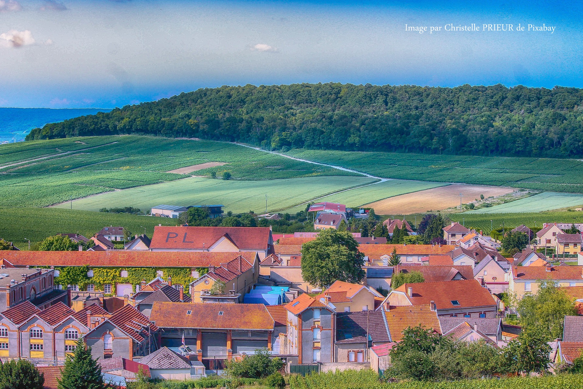 coteaux champenois