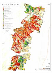  le beaujolais carte geologique