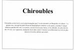 chiroubles   synthese geologique