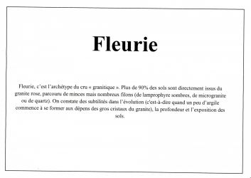 fleurie   synthese geologique