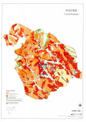 fleurie carte geologique