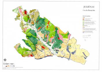 julienas carte geologique