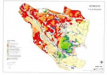 morgon carte geologique