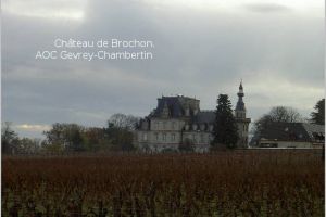 photos Gevrey-Chambertin