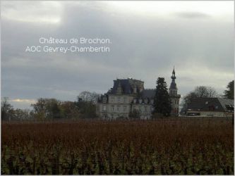 01 Chateau de Brochon