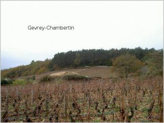 02 Gevrey