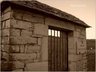 139 Le Grand Montrachet