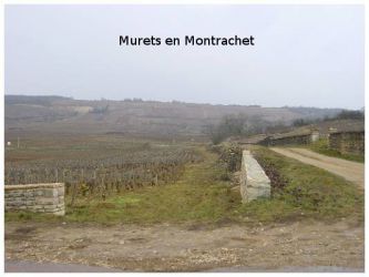 2005 03 12   Puligny Montrachet 11