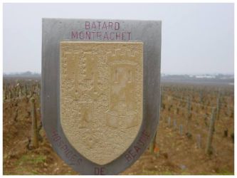 2005 03 12   Puligny Montrachet 14