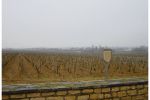 2005 03 12   Puligny Montrachet 15