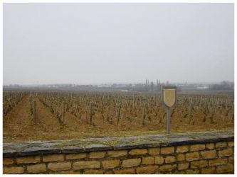 2005 03 12   Puligny Montrachet 15