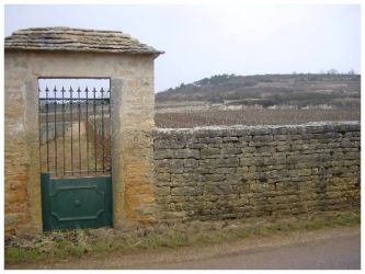 2005 03 12   Puligny Montrachet 17