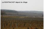 2005 03 12   Puligny Montrachet 2