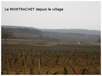 2005 03 12   Puligny Montrachet 2