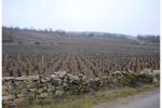 2005 03 12   Puligny Montrachet 23