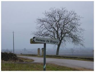 2005 03 12   Puligny Montrachet 26