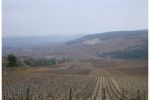 2005 03 12   Puligny Montrachet 28