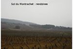 2005 03 12   Puligny Montrachet 3