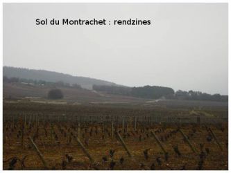 2005 03 12   Puligny Montrachet 3