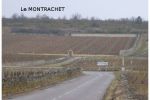 2005 03 12   Puligny Montrachet 4