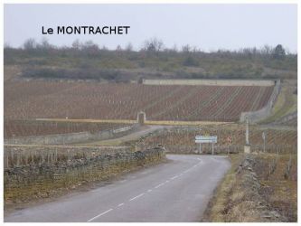 2005 03 12   Puligny Montrachet 4