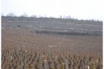 2005 03 12   Puligny Montrachet 8