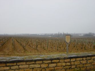 Image007