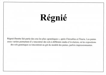 regnie   synthese geologique