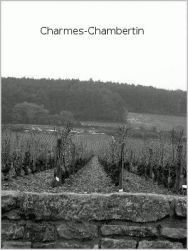 08 Les Charmes Chambertin