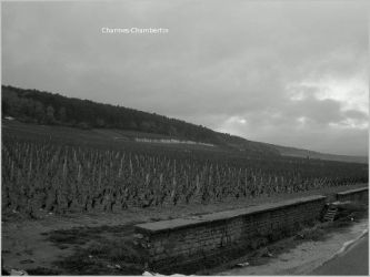 09 Les Charmes Chambertin