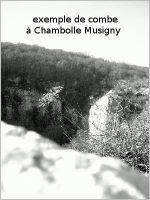 Photos Chambolle Musigny