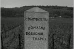 12 Chambertin