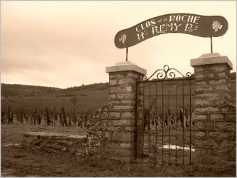 25 Clos de la Roche