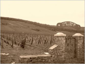 26 Clos de la Roche