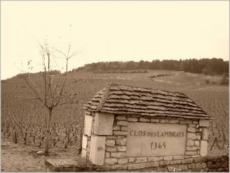 34 Le Clos des Lambrays