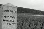 13 Chambertin