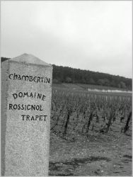 13 Chambertin