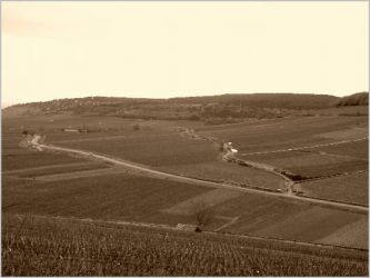 63 1er cru Ile de vergelesses