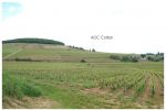 AOC CORTON