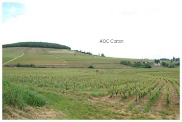 AOC CORTON