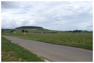 Montagne de Corton