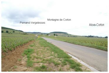 Route de Pernand Vergelesses002