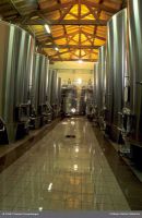 Vinification
