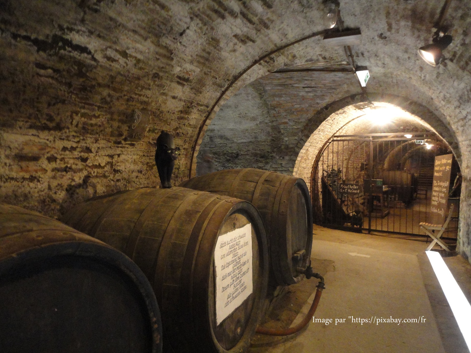 cellar-1676562-1920