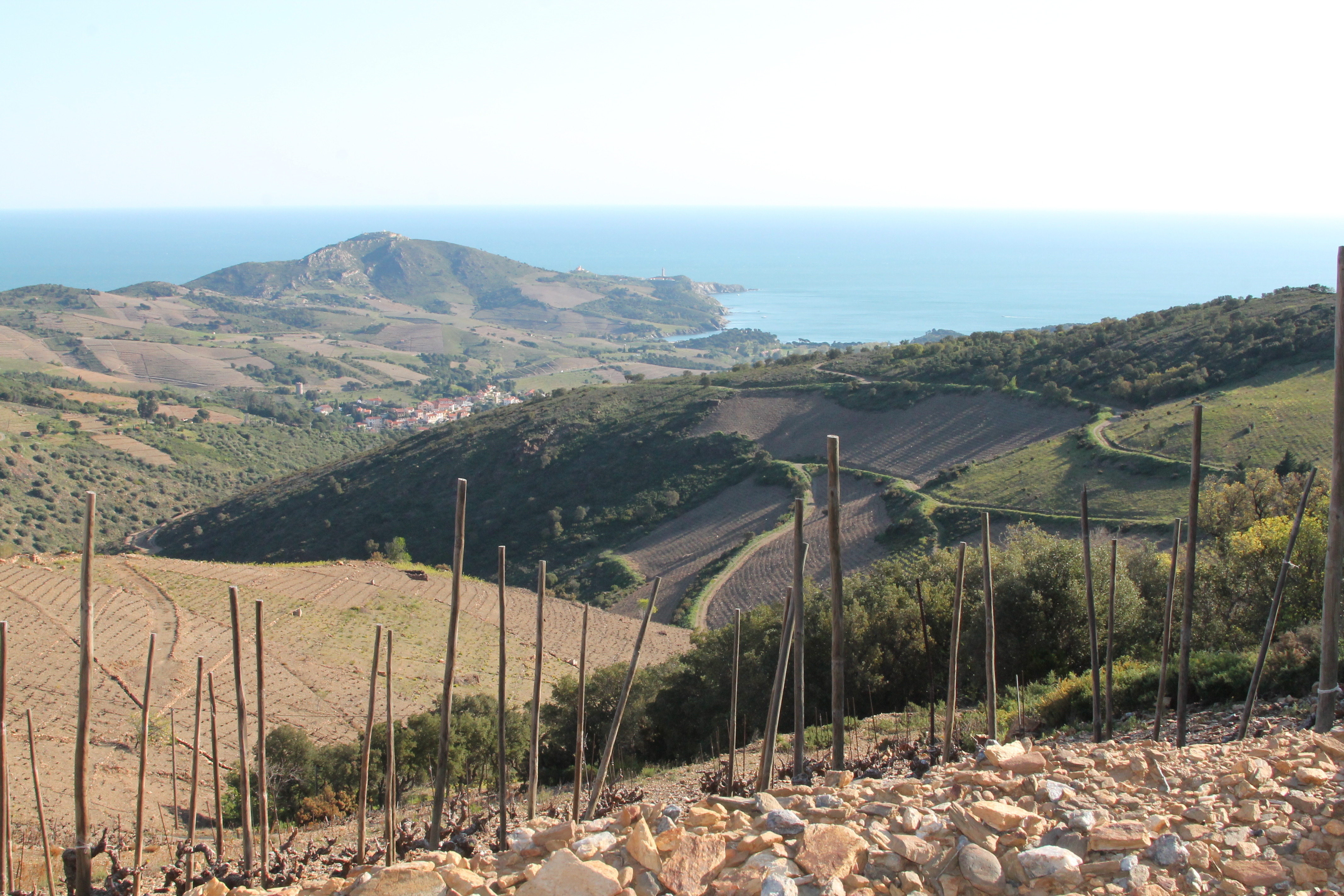 collioure-banyuls