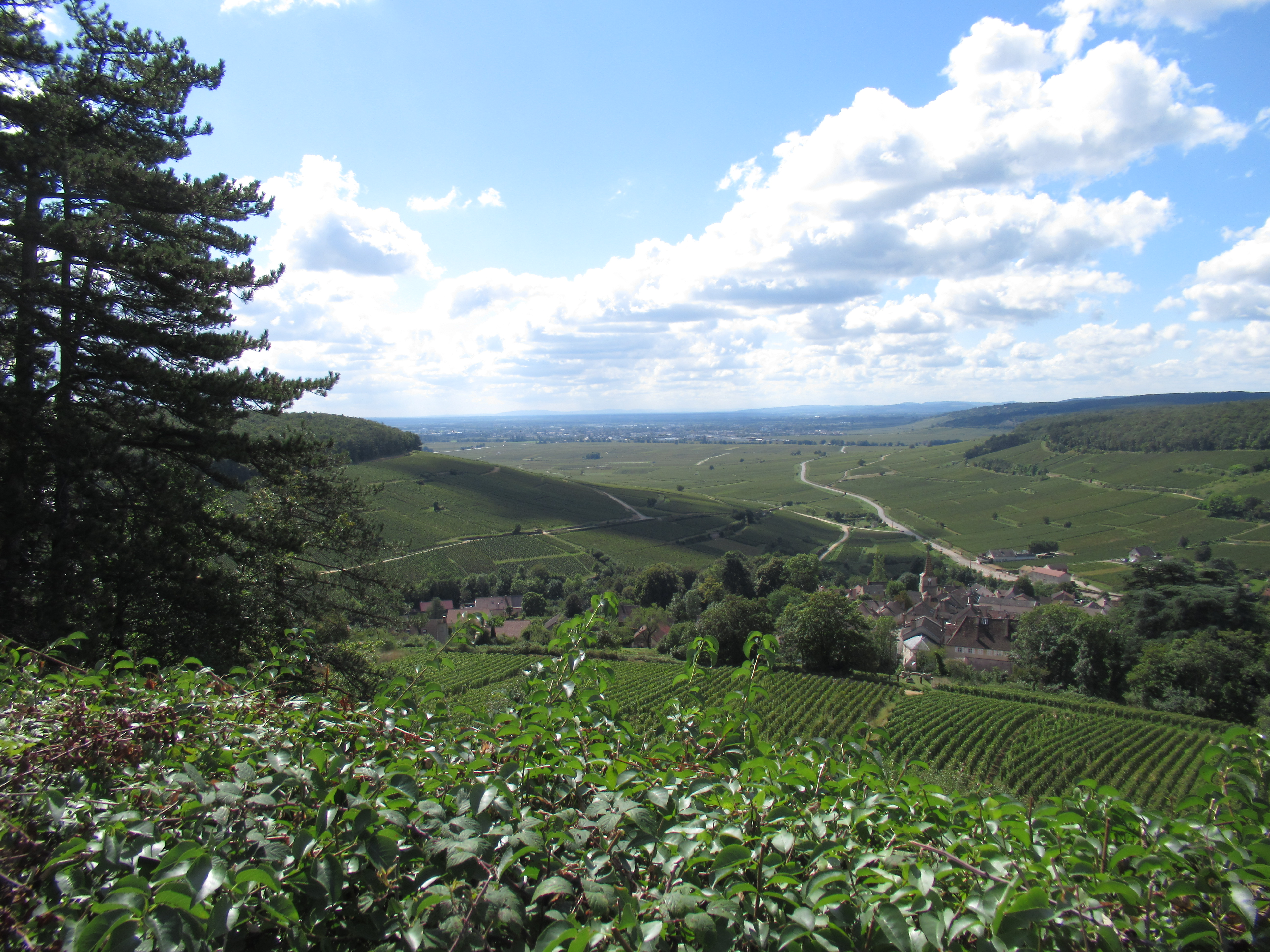 img-4748