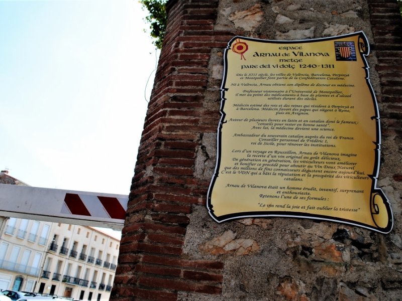 l espace arnau de vilanova au coeur de la ville 986617 800x600