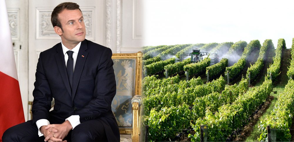 macron-pesticides-vignes