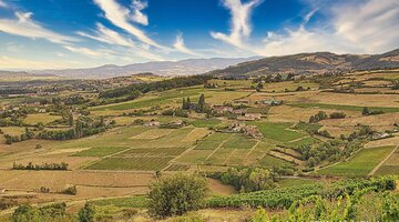 beaujolais