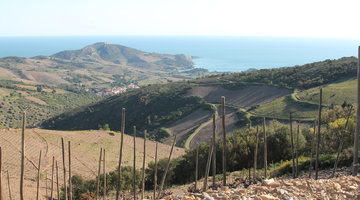 collioure-banyuls